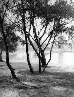 WIMBLEDON COMMON