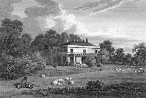 Spenser: WIMBLEDON HOUSE