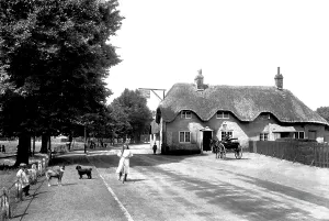 Wimborne: Wimborne, Coach and Horses 1908