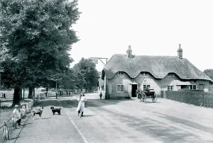 Wimborne: Wimborne, Coach and Horses 1908