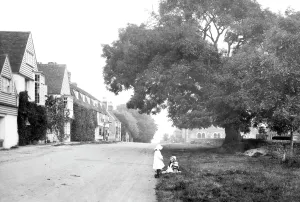 Winchelsea: Winchelsea, Wesley Tree 1912
