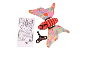 Collectables: Wind up butterfly with key and instruction leaflet