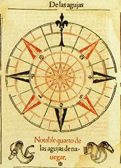 Fleur: Wind Rose