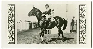 Jockeys: Windbag, Australian race horse