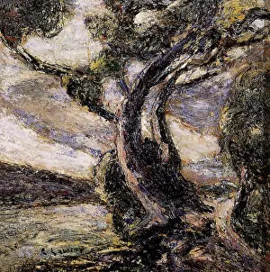 Bent: Windblown Tree