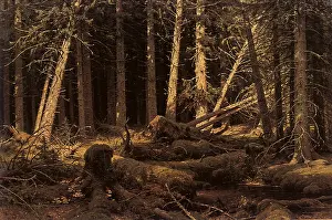 Shishkin: Windfallen Wood