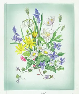 Windflowers: Windflowers, daisies, celandine etc