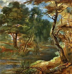 Winds: Winding Forest Stream