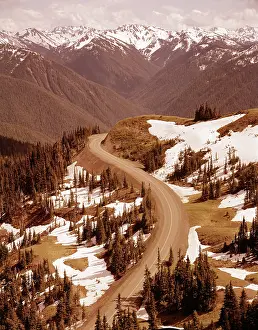Camerique: Winding Moutain Road