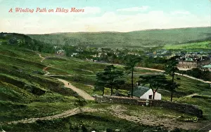 Moors: Winding Path, Ilkley Moors, Ilkley, Yorkshire