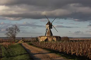 Windmill of La Tranchee, Montsoreau, Loire Valley, France