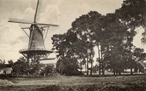 Windmills: Windmill with platform, Sluis, Netherlands