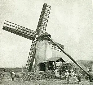 Windmills: Windmill for processing sugar cane, Barbados, West Indies