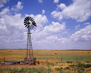Midwestern: Windmill Pump Full Watering Trough and Field of