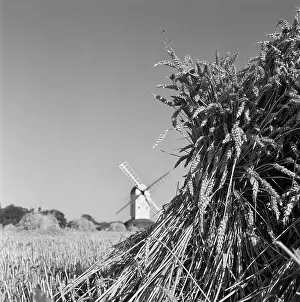 Stook: Windmill and wheat