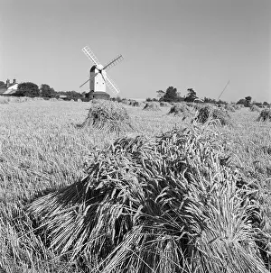 Propped: Windmill and wheat