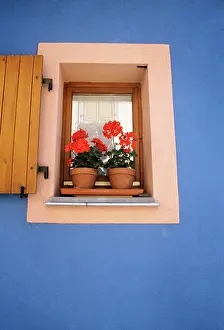 Geraniums: Window boxes with red geranium blue wall provencal