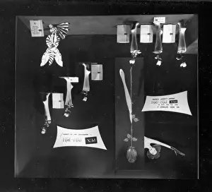 Nylon: A window display for PEX Pin Pin nylon stockings