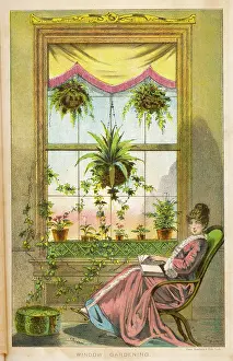 Verdant: WINDOW GARDENING