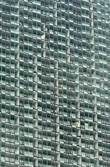 Beetham: Windows DP