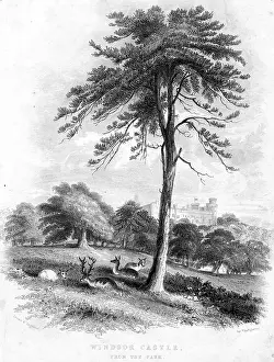 Tallis: Windsor Castle From the Park