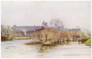 Fellows: WINDSOR/FELLOWS EYOT