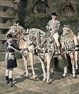 Studs: The Windsor Greys in their Coronation Harness