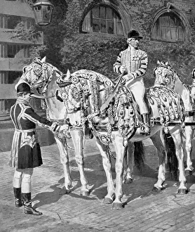 Pageantry: The Windsor Greys in their Coronation Harness
