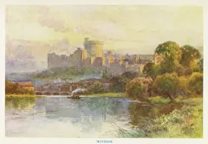 Haslehust: WINDSOR (HASLEHUST)