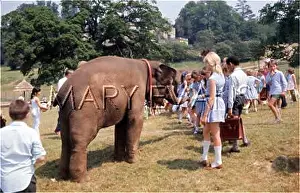 Lolly: WINDSOR SAFARI PARK