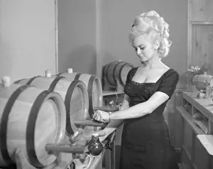 Cunning: Wine barrel - bartender - wine serving