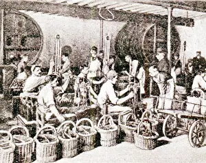 Corking: Wine Bottling and Corking