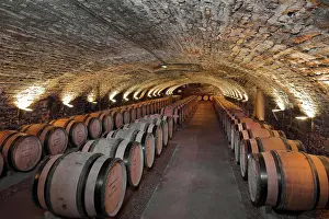 Rolin: Wine cellar, Hospices de Beaune, Beaune, Burgundy, France