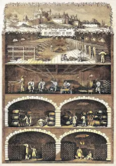 Cellars: Wine cellars at Rheims