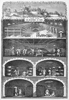 Cellar: Wine cellars at Rheims