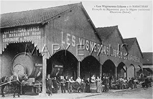 Libres: WINE CO-OPERATIVE