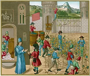 Fabrication: WINE AT FRENCH CHATEAU