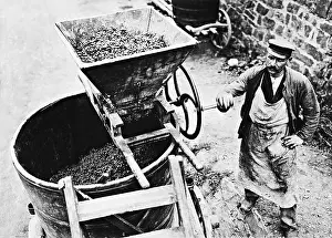 Viniculture: Wine grower on the grape press