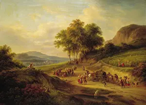 Weinlese: Wine harvest
