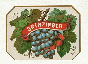 Grinzing: Wine label Grinzinger - Graphic