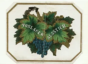 Voslau: Wine label Voslauer Ausstich - Graphic