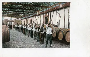 Grapevine: Wine production, Madeira