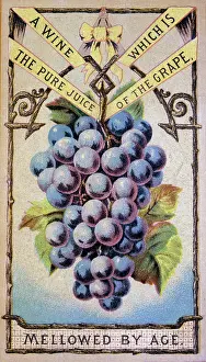 Juice: A wine which is the pure juice of the grape