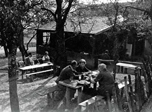 Heuriger: Wine tavern