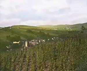 Sievering: The wine village Ober-Sievering