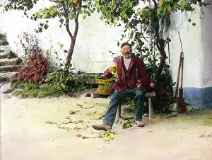 Winegrower: Winegrower