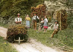 Wachau: Winegrowers at work