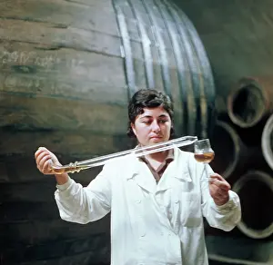 Winery: At winery in Gurjaani, 1970