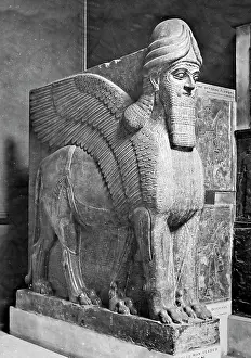 Nimroud: Wing headed lion, Nimroud, British Museum