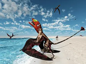 Tethys: Winged Dimorphodon pluck fish from the Early-Jurassic ?